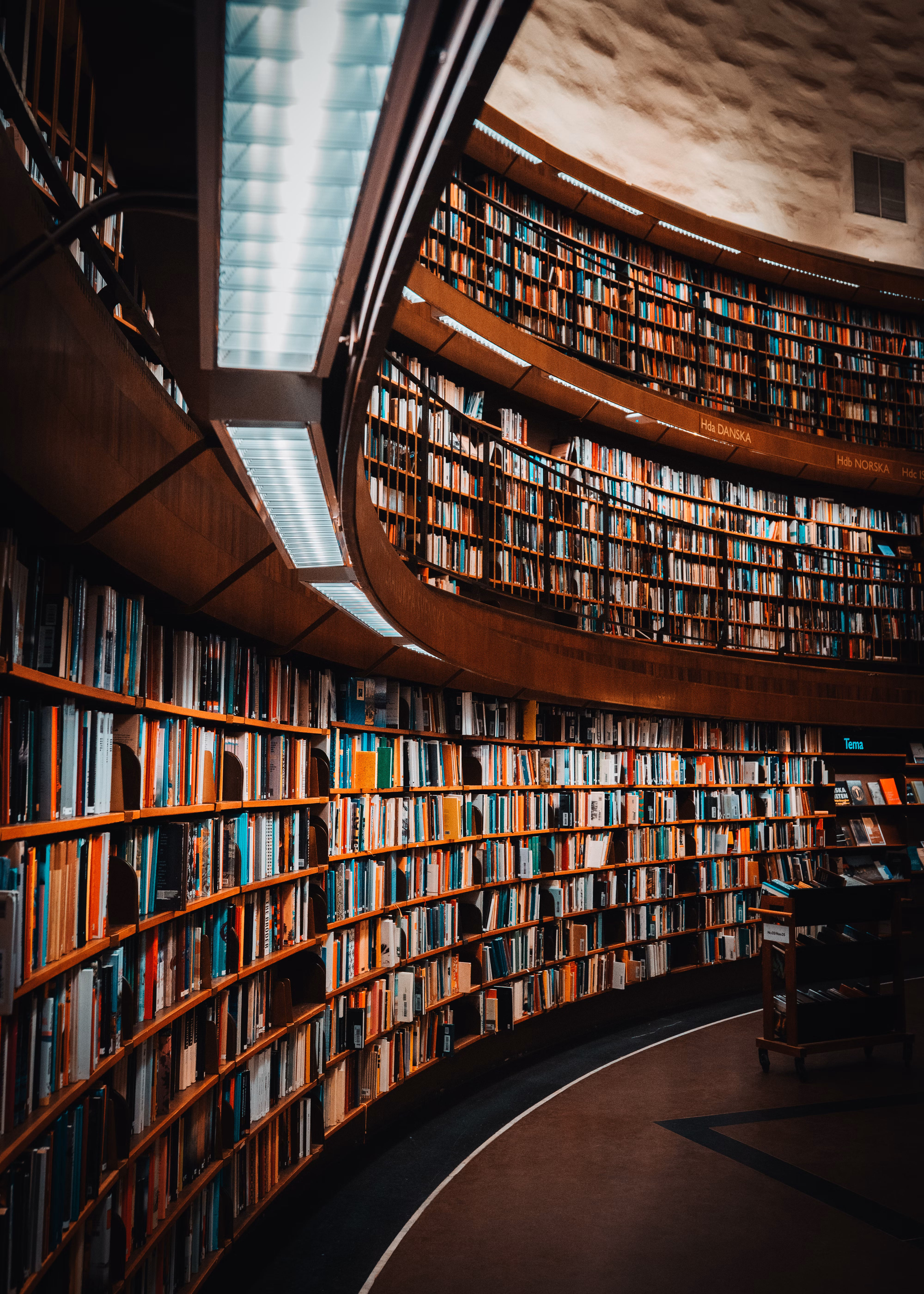 Imagem da Biblioteca